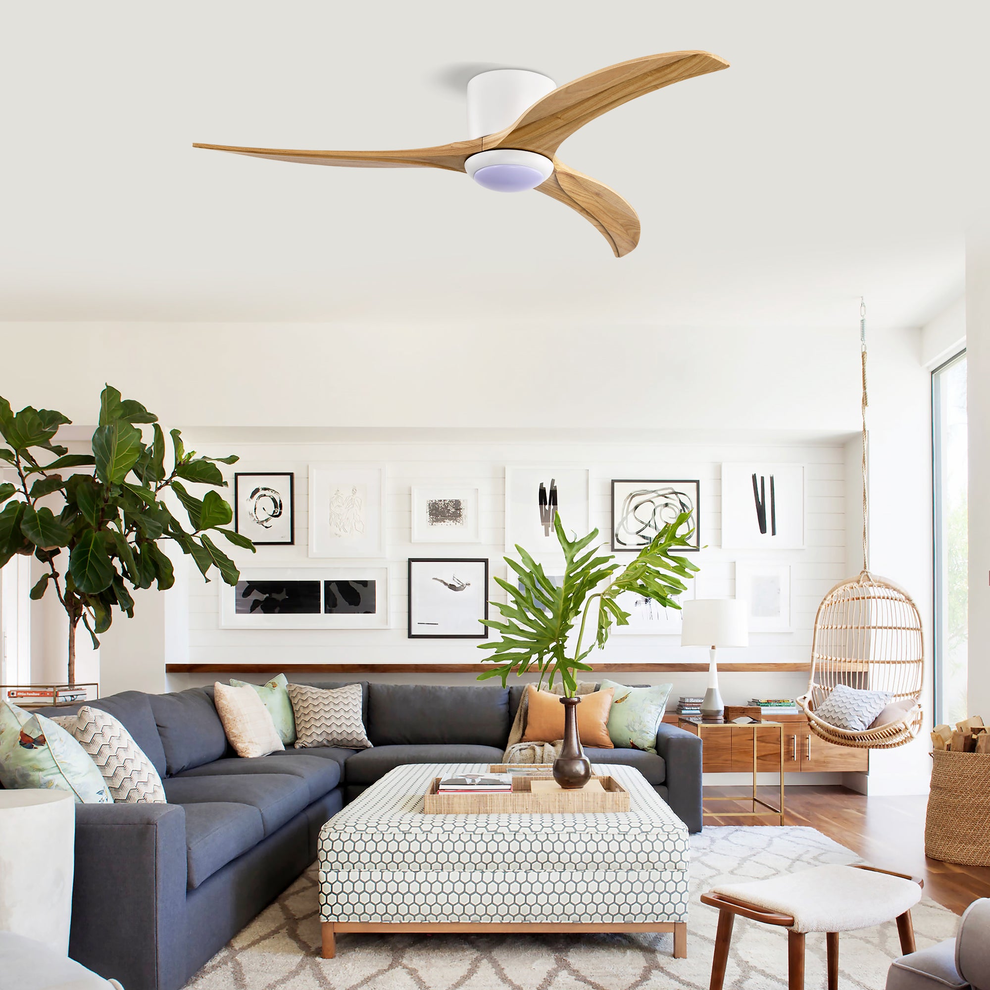 52 in. Indoor LED Ceiling Fan with Downrod, Reversible Motor, and Reversible Blades and Remote Control