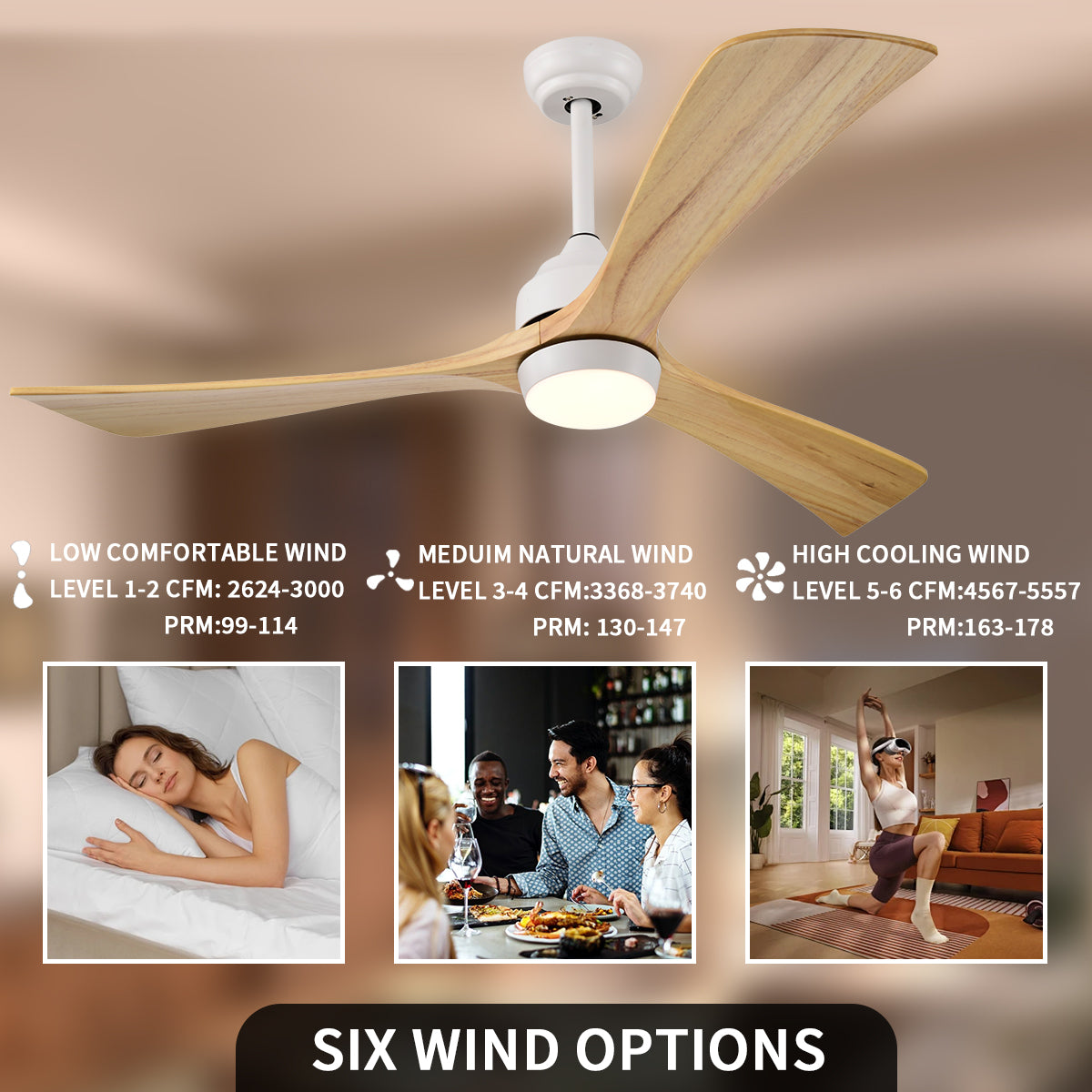 52 in. Indoor/Outdoor DC Motor Ceiling Fan with Adjustable Integrated LED Lights and Remote Control