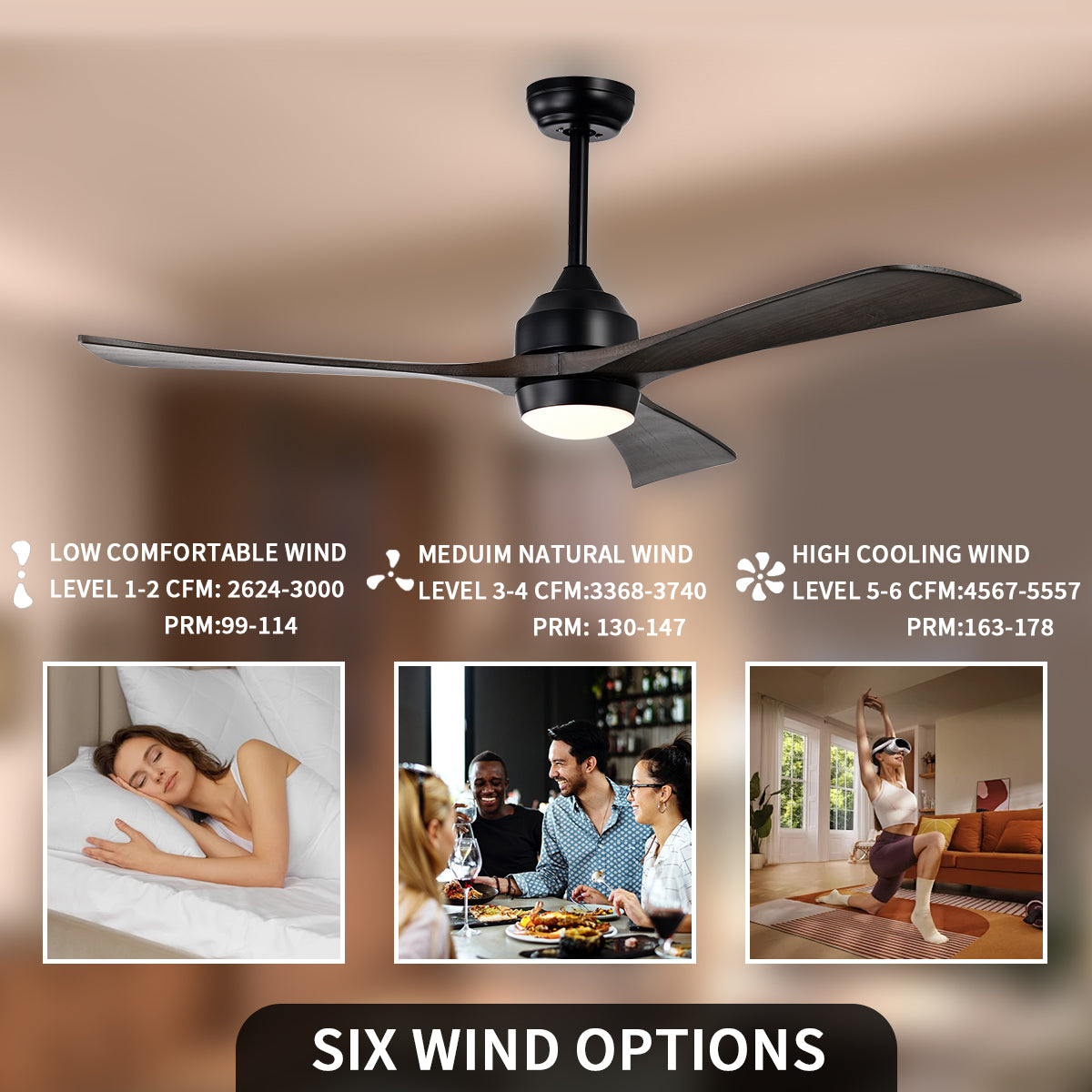 52 in. Indoor/Outdoor DC Motor Ceiling Fan with Adjustable Integrated LED Lights and Remote Control