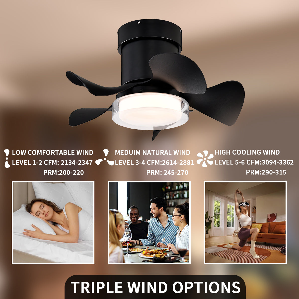 21 in. Modern 5-Blade Indoor Ceiling Fan with Quiet Reversible DC Motor for Bedroom or Living Room