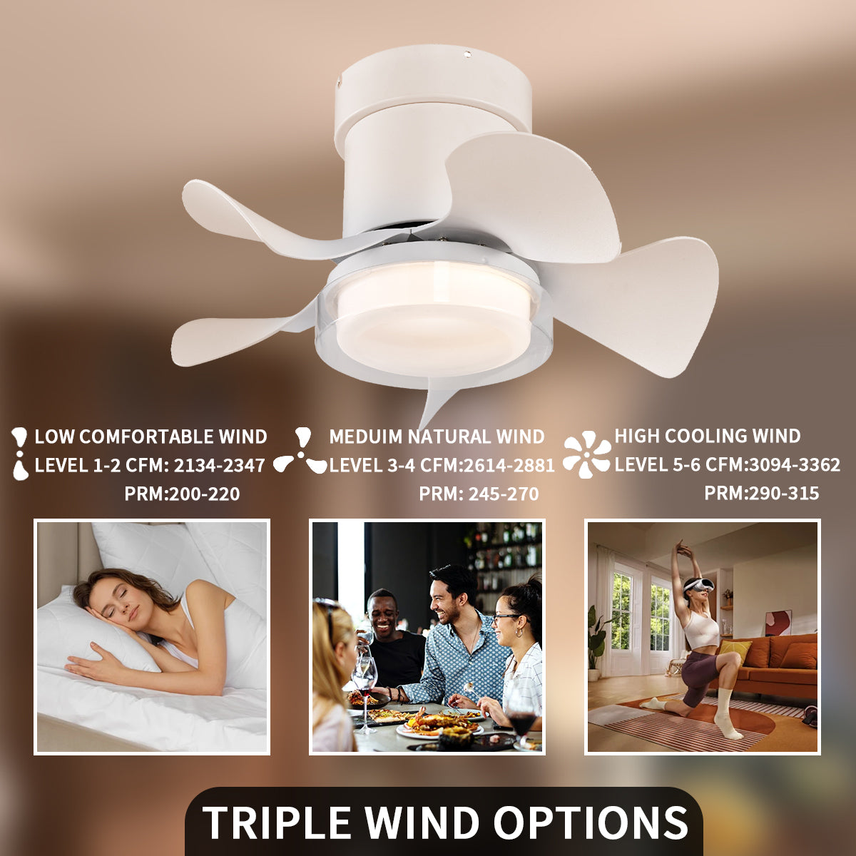21 in. Modern 5-Blade Indoor Ceiling Fan with Quiet Reversible DC Motor for Bedroom or Living Room
